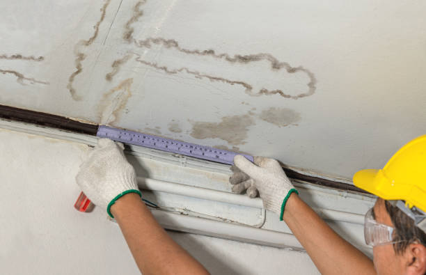 Reliable Water Damage contractor in Corder, MO by Water Damage Irwin